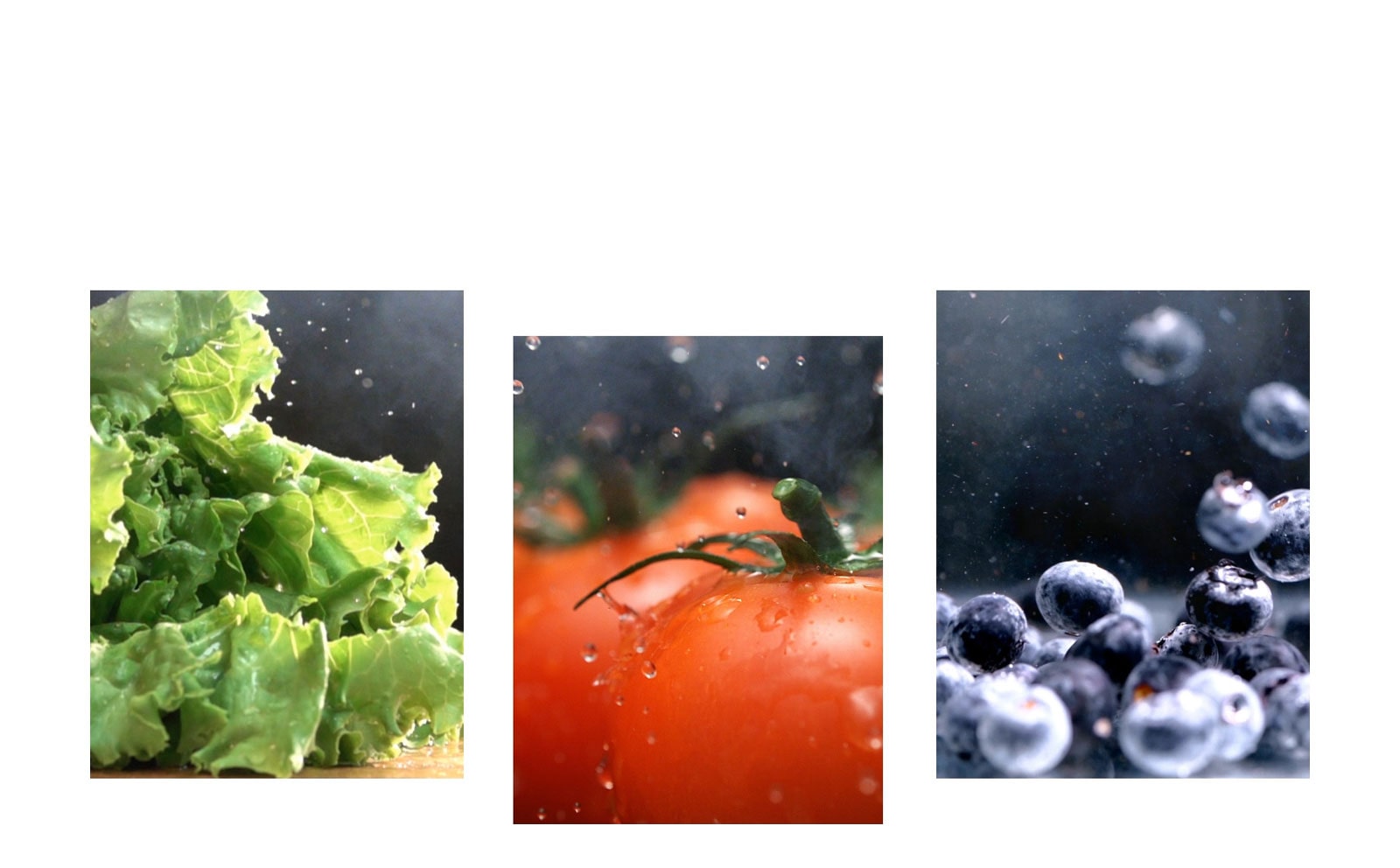 An image of crisp green lettuce is next to an image of fresh red tomatoes, and an image of bright blueberries.