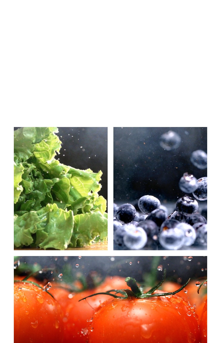 An image of crisp green lettuce is next to an image of fresh red tomatoes, and an image of bright blueberries.