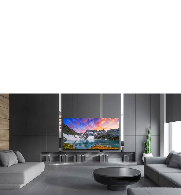 TV showing an eye level view of nature in a luxurious house setting