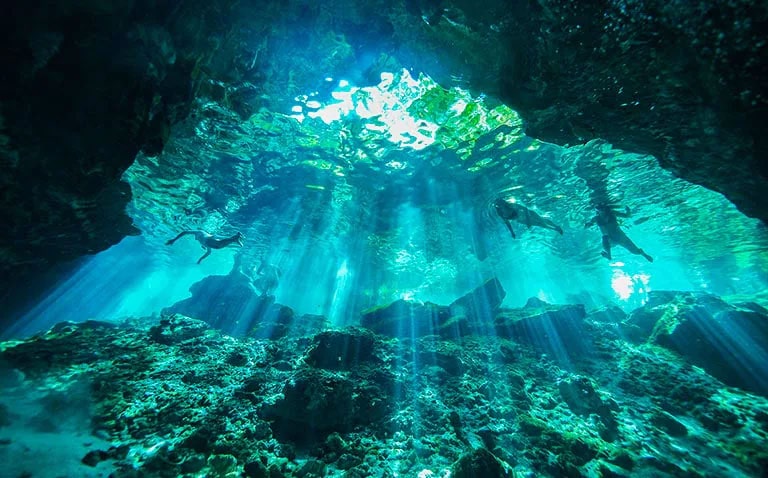 An underwater scene which brightens with rays of light shining into the water (play the video).