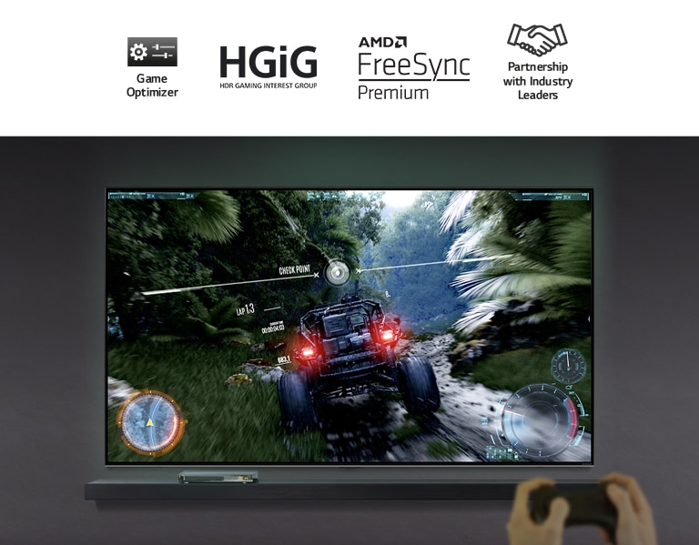 A pair of hands holding a gaming controller in front of a TV. The screen shows a car driving along a dirt track through a forest.